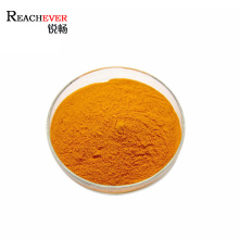 Natural Pure Raw Material Rhizoma Curcuma Longa Extract 95%